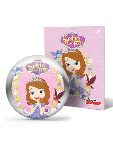 Disney Junior Sofia the First StoryShield