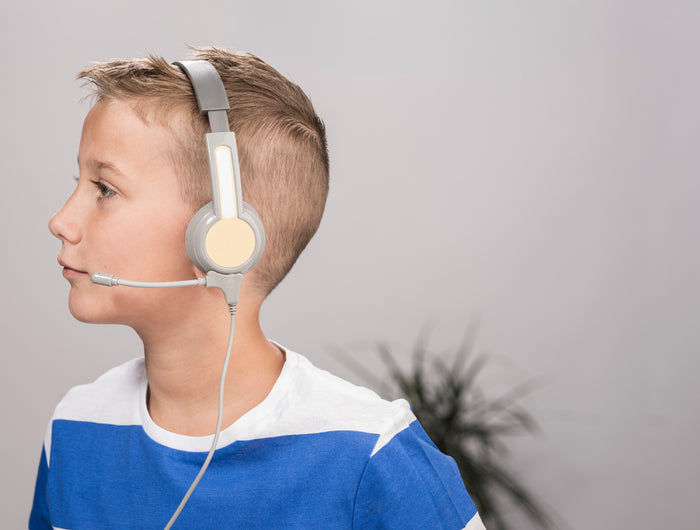 <h3><strong>Detachable Boom Mic</strong></h3>