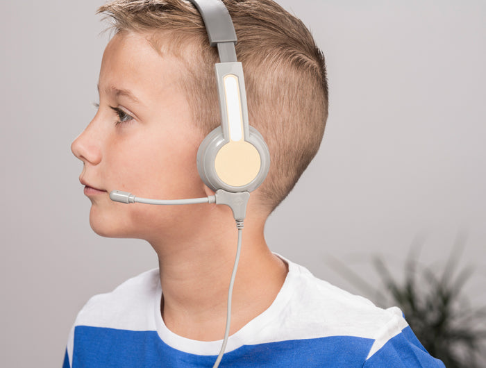 <h3><strong>Detachable Boom Mic</strong></h3>